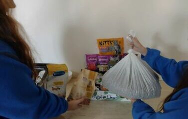 IMG_20231107_143427272