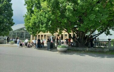 IMG-20240613-WA0016