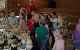 IMG_20231009_105006