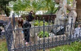 IMG_20231019_162046506